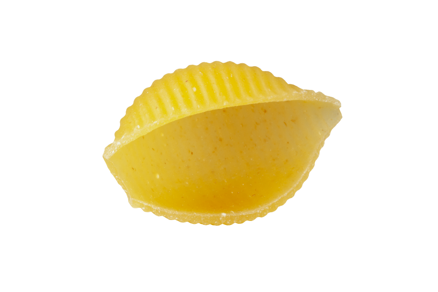 Conchiglie (Large)