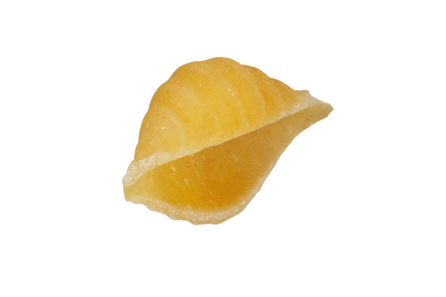 Conchiglie (Small)